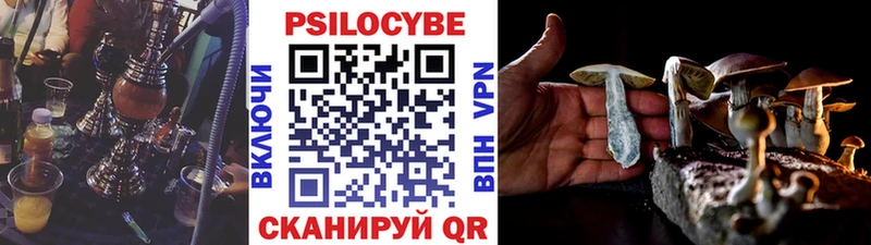 Псилоцибиновые грибы GOLDEN TEACHER Руза