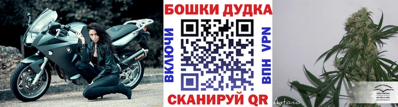 ссылка на мегу зеркало Руза Марихуана конопля